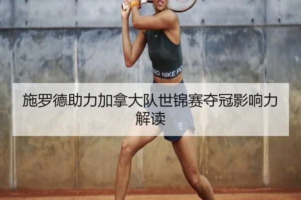 shi-luo-de-zhu-li-jia-na-da-dui-shi-jin-sai-duo-guan-ying-xiang-li-jie-du-2-678.jpg